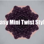 Natural Hair Styles Mini Twists