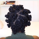 Protective Natural Hairstyle
