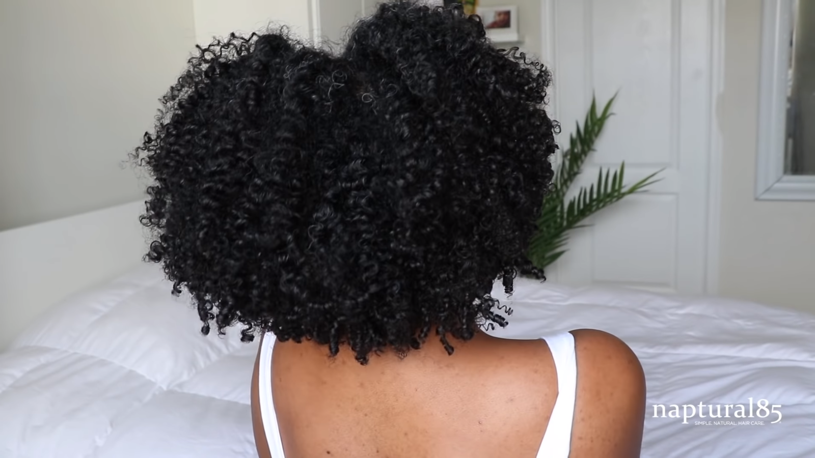 New Twist Out Styling Routine On Short Natural Hair By Naptural85 ⋆ African  American Hairstyle Videos - AAHV